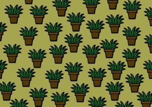 Plante cu W