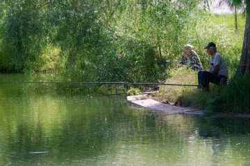 Statusuri de iubire citate si ganduri pentru suflet