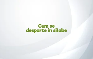 cum se desparte in silabe