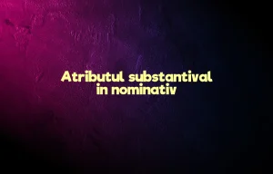 atribut substantival in nominativ