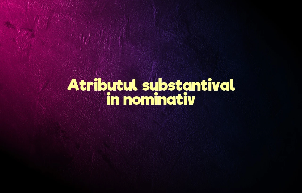 atribut substantival in nominativ