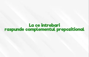 la ce intrebari raspunde complementul prepozitional