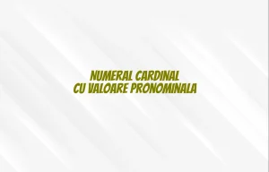 numeral cardinal cu valoare pronominala
