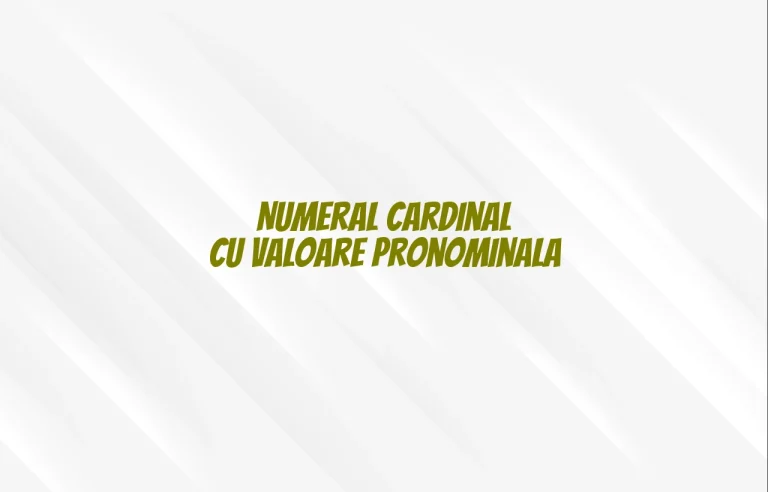 numeral cardinal cu valoare pronominala