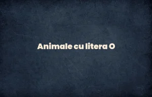 animale cu litera o