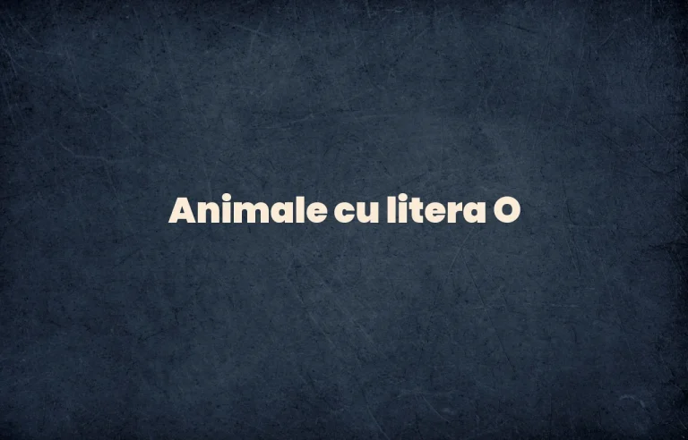 animale cu litera o
