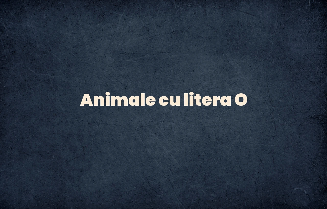 animale cu litera o