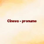 cineva pronume
