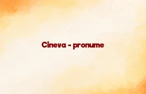 cineva pronume