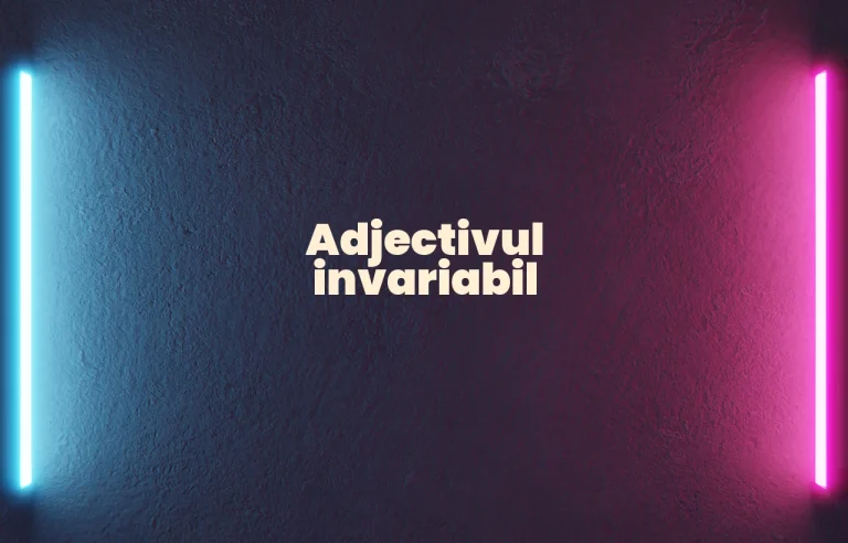 adjectiv invariabil