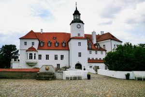 care este cea mai buna schema redusa la joker