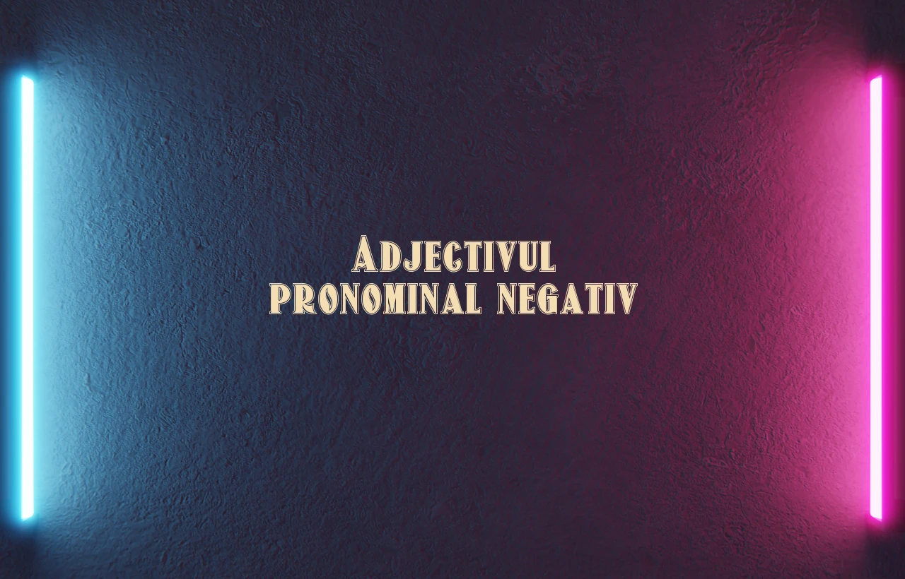adjectiv pronominal negativ