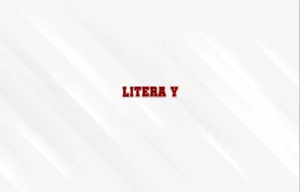 litera y