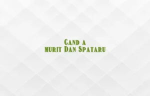 cand a murit dan spataru