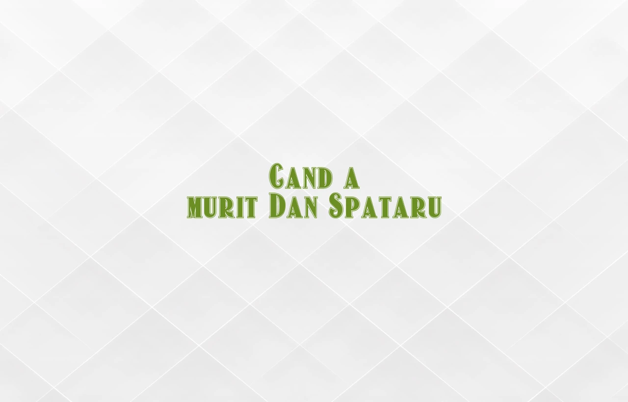 cand a murit dan spataru