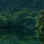 ce poti vizita in vatra dornei